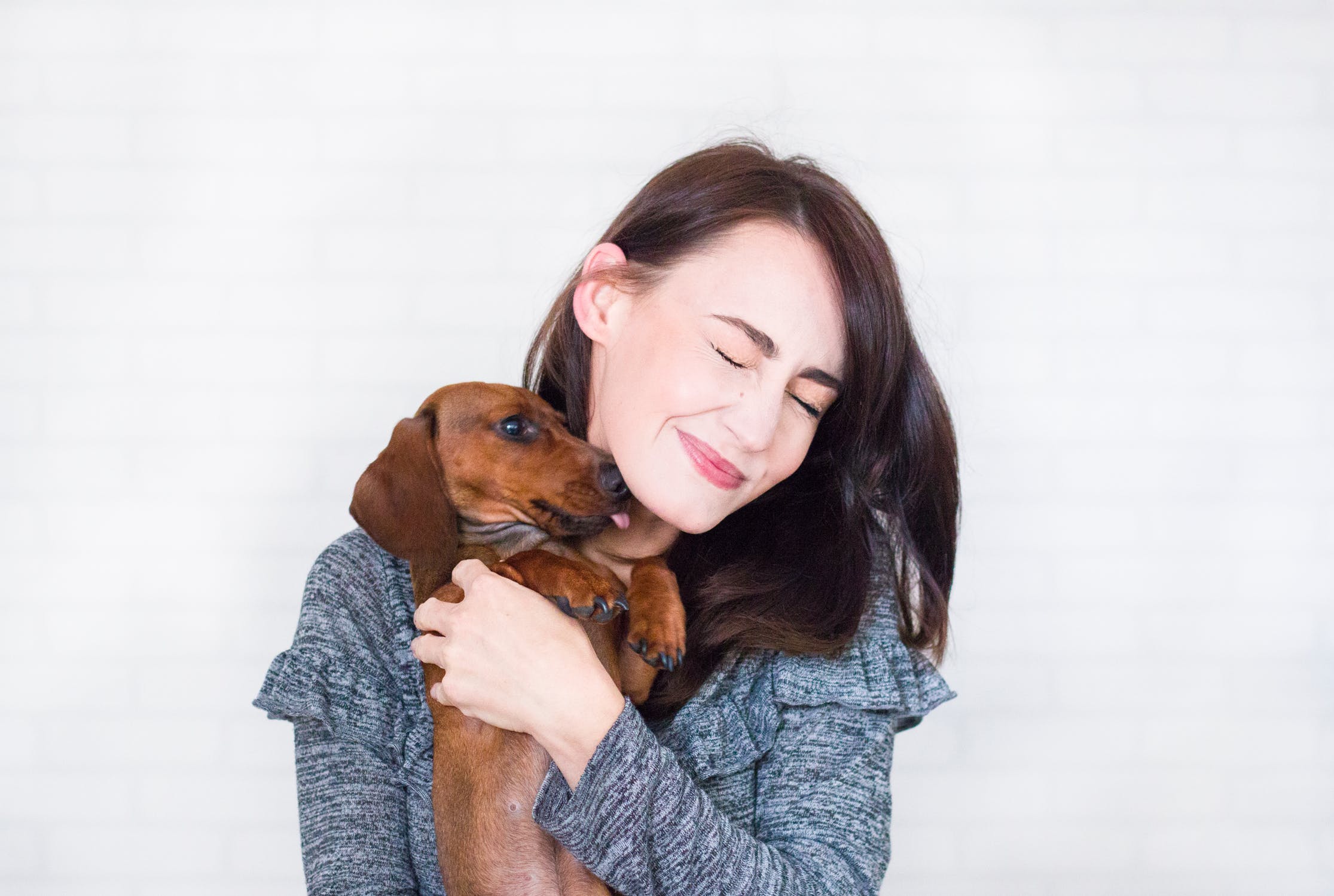 Pros and Cons of Making a Property Pet Friendly