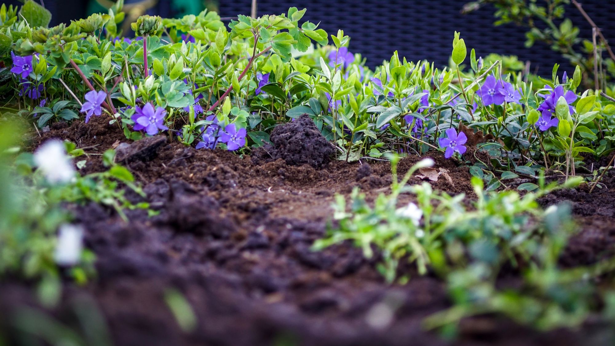 5 Simple Landscaping Maintenance Tips for Property Managers