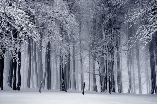 Winter Storm Preparedness Guide