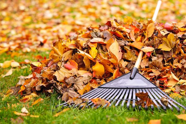 Autumn is Here: Are Your Properties Ready?