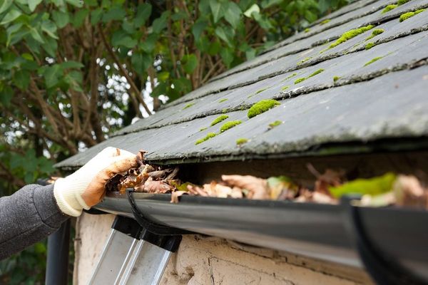 5 Simple Gutter Cleaning Hacks This Fall